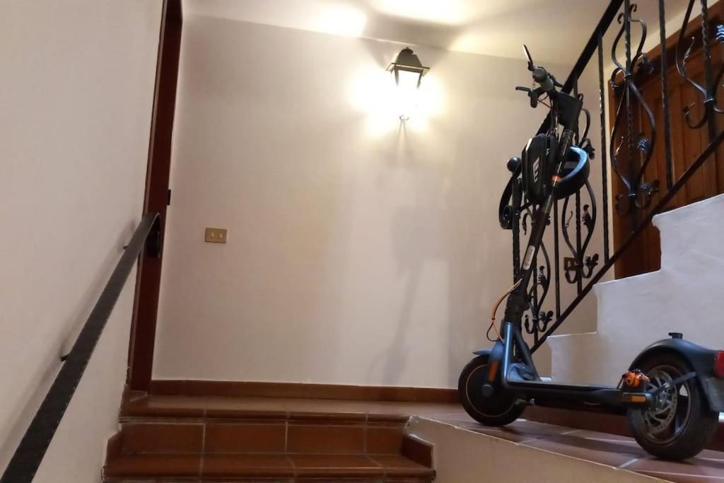 "Orchidea" Camera Privata Nell'Appartamento Condiviso Cagliari Eksteriør billede